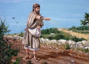 Man sowing seed by hand in a field, some soil is rocky and other soil is good quality.