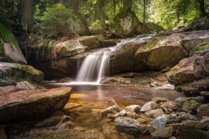 A serene setting with a running stream and small waterfall over a rocky area under a forest canopy.