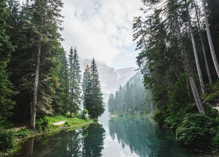 God's beauty is seen in a forest scene with still water lake and beautiful trees along the sides with mist in the background