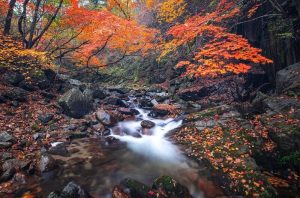 God's beauty is seen in a mountain stream flowing over dark rocks and with autumn-colored leaves from the trees above