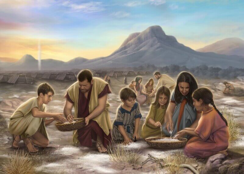 One of the Old Testament stories when the Israelites collecting manna in the wilderness